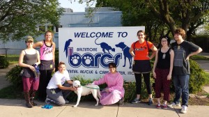 UMBC Service-Learners at BARCS, Spring 2014